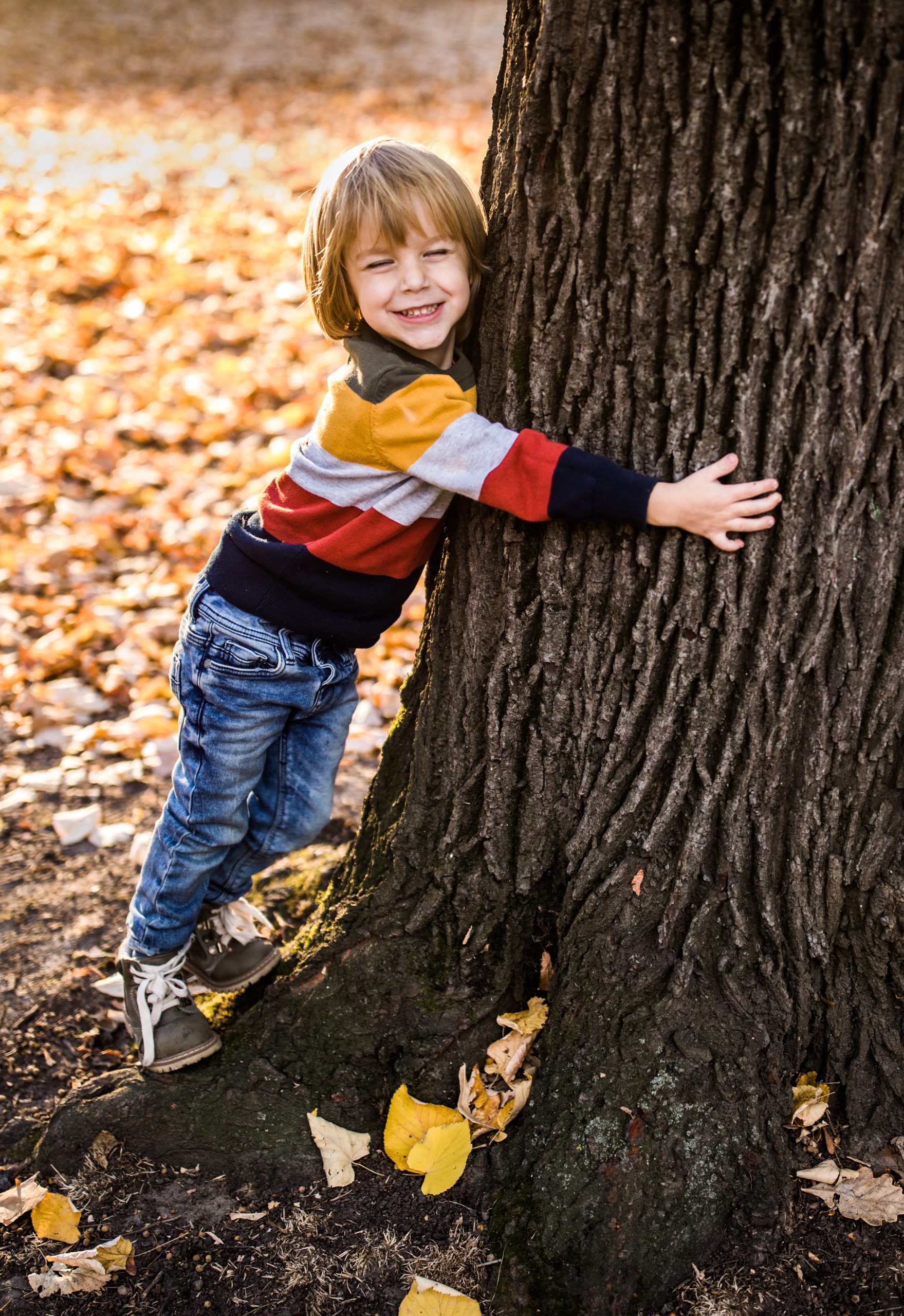 Emma-&-August-Projekt-2 Junge umarmt lachend einen Baum im herbstlichen Park voller Laub.