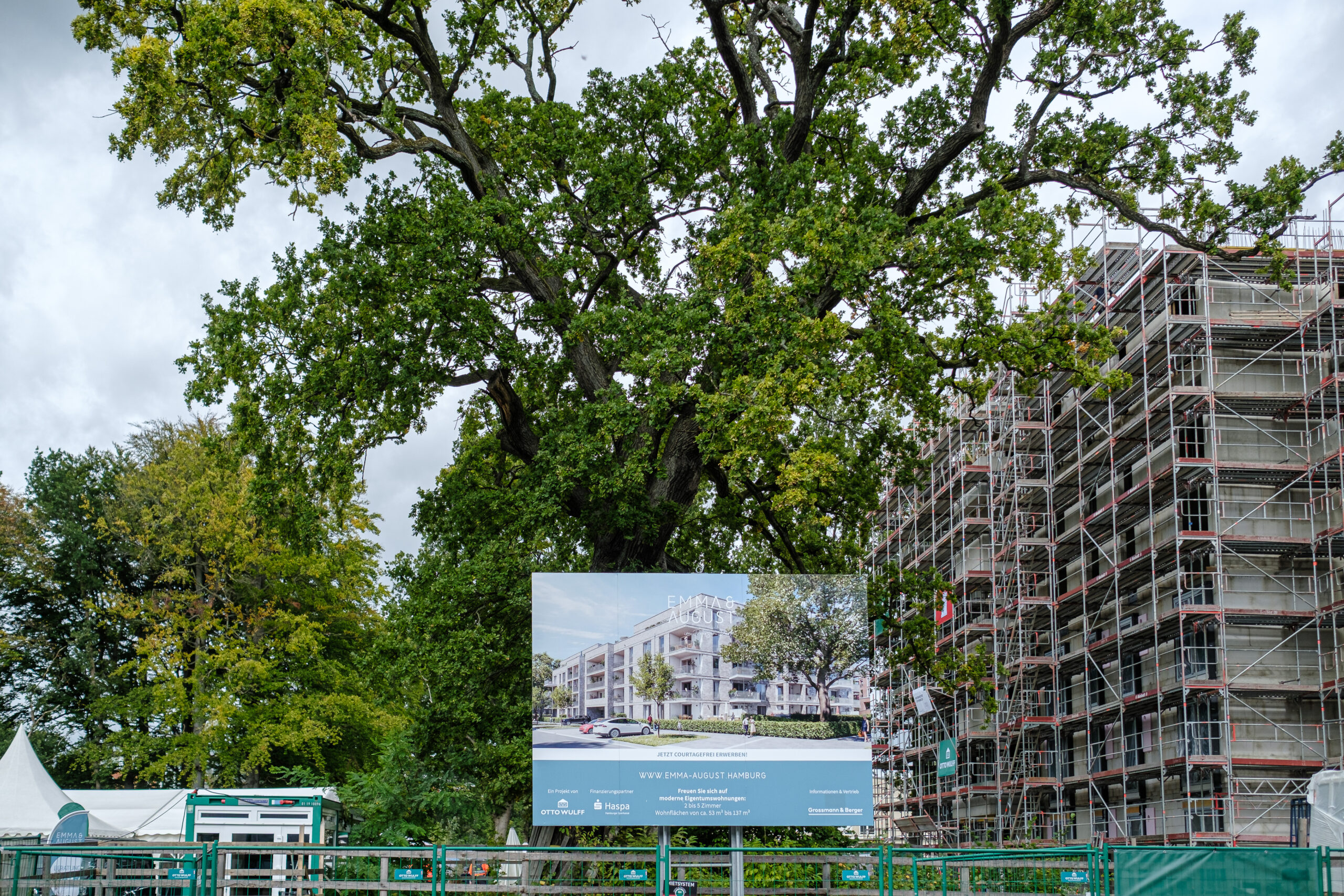 Großer Baum vor Baustelle mit Baugerüst und Werbeschild für Neubauprojekt.